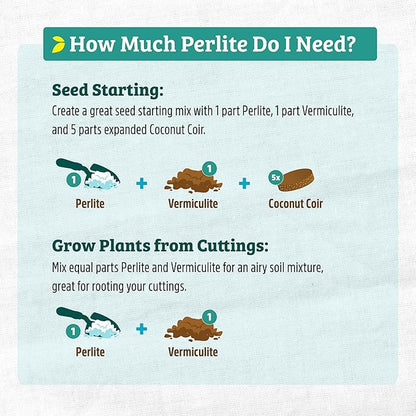 Back to The Roots 100% Organic Perlite (24 qt Value Pack) | Made in The USA | Premium Nutrition for Indoor and Outdoor Plants