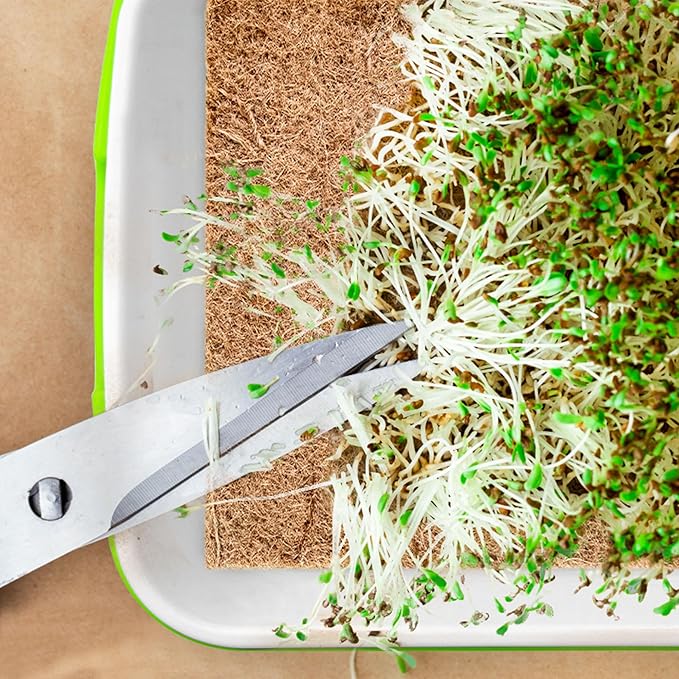 Seed Sprouter Tray with Drain Holes,Seed Germination Tray Kit BPA Free Nursery Tray,Soil-Free Big Capacity Healthy Wheatgrass Grower Sprouting Container (4 Pack with lid &mat -Light Green)