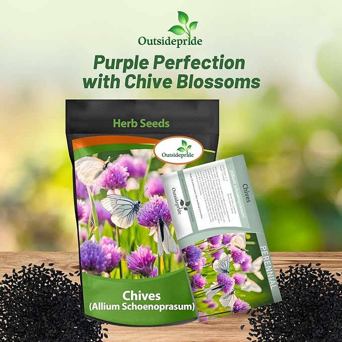 Outsidepride 1/4 lb.. Perennial Chives Herb Garden Seeds for Microgreens, Sprouts, & Cooking