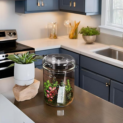 Small Glass Terrarium Jar with Lid – 4.7 x 7 Inch Closed Plant Terrarium for Succulents, Moss, Venus Fly Trap & Self-Sustaining Ecosystems – Ideal Indoor Decor for Home & Tabletop