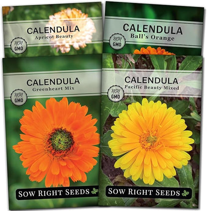 Sow Right Seeds - Calendula Seed Collection for Planting - Non-GMO Heirloom Packets, Instructions to Plant a Home Garden - Medicinal Blooms for Pollinators - 4 Varieties in Orange, Apricot, and More