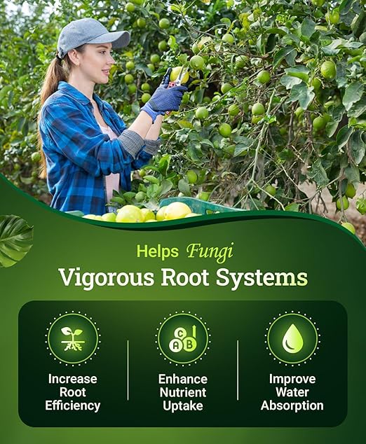 FoxFarm Happy Frog Citrus and Avocado Fertilizer- OMRI Listed Organic Citrus Fertilizer for Healthy Growth, Slow-Release Nitrogen, Calcium & Sulfur for Citrus & Avocado Trees - 4 lb, Pack of 2