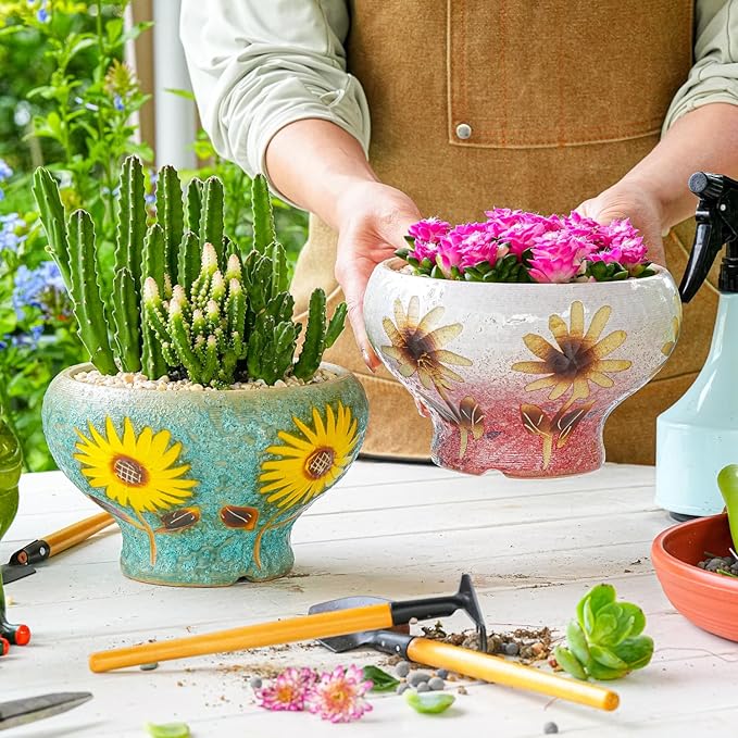 Sungmor Small Succulent Planters Set of 2, Beautiful Hand Crafted Ceramic Plant Pots Cute Cactus Pot, 6.5 Inch Flower Pots for Indoor Plants with Drainage, Desktop Windowsill Home Office Decor Pots