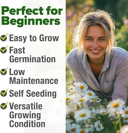 HOME GROWN German Chamomile Seed Pack – 4,560 Heirloom Seeds for Planting for Sustainable Gardens and Soothing Medicinal Herbal Teas (Matricaria chamomilla)