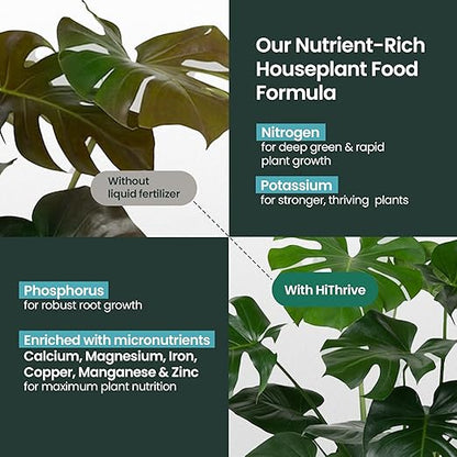 32oz Houseplant Fertilizer, All Purpose Indoor Plant Food - Makes 175+ Gallons, Plant Food for Houseplants - Fiddle Leaf Fig Tree, Pothos & More, 6-2-4 NPK, Concentrated Fertilizer for Indoor Plants