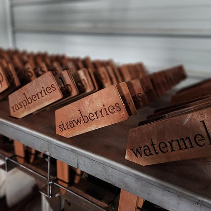 Planter Size Small Metal Garden Plant Vegetable Flower or Herb Markers 13.5 Inches Tall (kohlrabi, Blue)