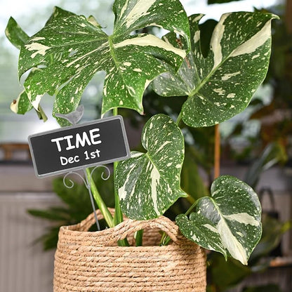 Metal Plant Label Garden Markers Bird Planting Garden Stake Signs Chalkboard Succulent Label for Outdoor Nursery Tags