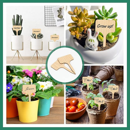 KINGLAKE GARDEN Bamboo Plant Labels,Plant Labels Garden Tags 60 Pack T-Type Wooden Plant Sign Tags Vegetable Garden Markers for Plants(6.5 X 10 cm)
