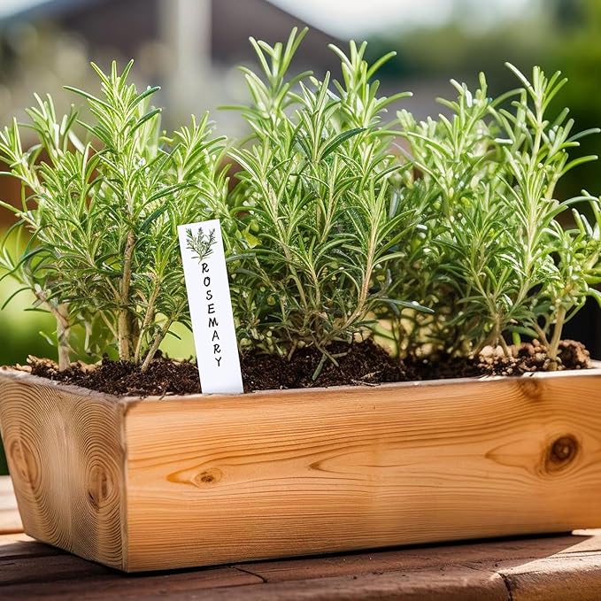 JarThenaAMCS 18Pcs Acrylic Herb Plant Label Signs Waterproof Plant Markers Reusable Garden Stake Tags with Herb Names for Nursery Indoor Outdoor Garden Decoration