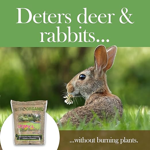 Natural Plant Food Fertilizer, 5lbs (Pack of 2) - Provides Optimal Nutrient Intake to Enhance Root Growth in Lawns, Gardens, Raised Beds, Seedlings & More - Slow Release