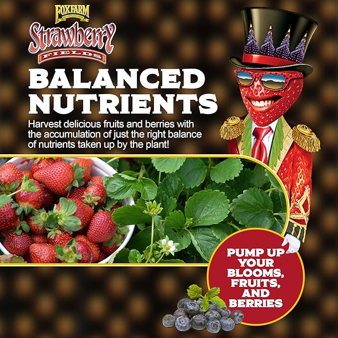 FoxFarm Strawberry Fields Fruiting & Flowering Potting Soil, 1.5 Cu.ft (Pack of 2) - Use to Increase Blooms, Fruits, and Berries - Made for Stages of Plants