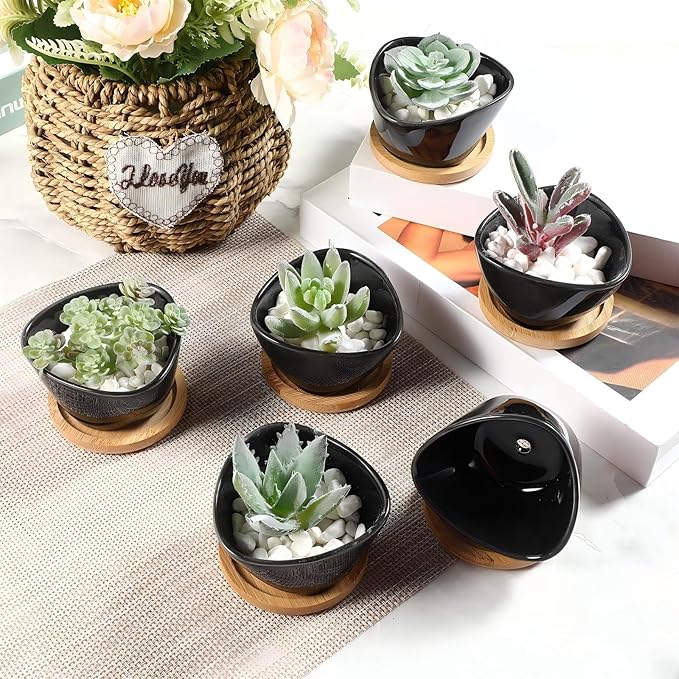 Domensi 24 Pack Succulent Planter Pots 3 Inch Small Plant Pots Mini Ceramic Succulent Planter Holder with Drainage Holes and Bamboo Saucers(Black)