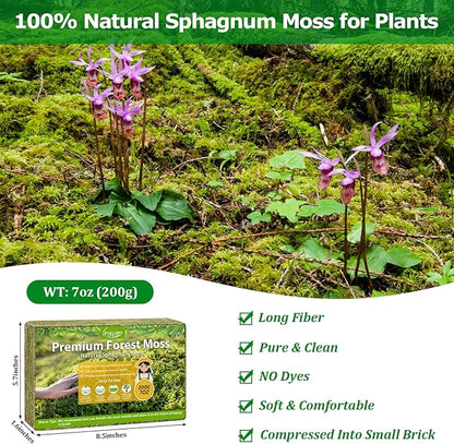 Legigo 7OZ Sphagnum Moss for Plants, 8QT Natural Orchid Moss Potting Mix Dired, Green Forest Plant Moss for Orchid Repotting Carnivorous Succulents Indoor Potted Plants Gardening and Reptiles