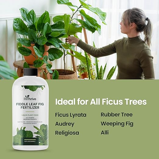 32oz Fiddle Leaf Fig Plant Food - Makes 192 Gallons of Fertilizer, Liquid Houseplant Fertilizer for Ficus Plants, Ideal Fiddle Leaf Fertilizer, 6-2-4 NPK Ficus Plant Food for Strong, Healthy Growth