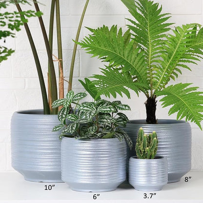 Mini Succulent Planter Set – 3.7 Inch Ceramic Pots with Drainage for Indoor Plants, Small Decorative Flower Pots for Cactus and House Plants, Set of 4