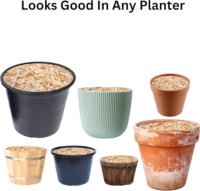 Garden Soils, Mulches and Rocks (Pine Shavings, 8 Quarts)