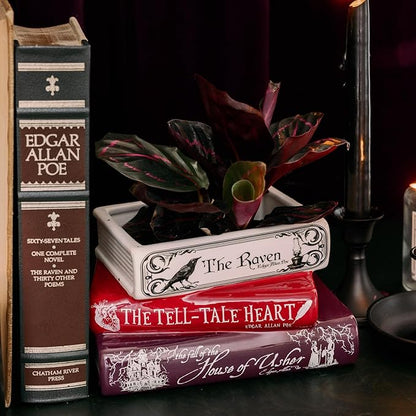 Steel Mill & Co Original Small Book-Shaped Decorative Planter, Ceramic Planter for Home Decor, Gothic Bookshelf Decor, Unique Planter for Book Lover (Edgar Allan Poe)