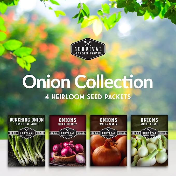 Onion Seeds 4 Variety Collection – Bunching, Red Burgundy, White Grano & Walla Walla Sweet Onions for Planting a Home Garden – Heirloom, Non-GMO Seed Packs – Survival Garden Seeds