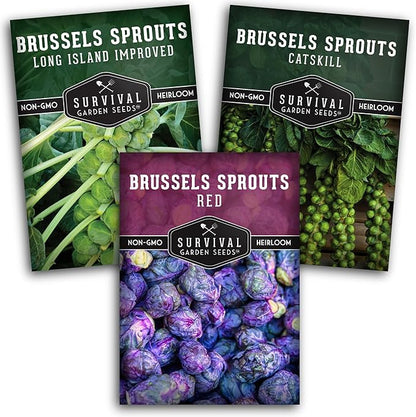 Brussels Sprouts Seeds 3 Variety Pack for Planting | Red, Catskill, Long Island Improved Heirloom Vegetable Seed to Plant Cool Season Open-Pollinated Brussel Sprout Types – Survival Garden Seeds