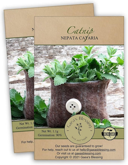 Gaea's Blessing Seeds - Catnip Seeds - Non-GMO Heirloom Seeds Nepata Cataria Open-Pollinated - with Easy to Follow Instructions - 90% Germination Rate Net Wt. 1.1g (Pack of 2)