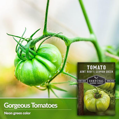 Aunt Ruby’s German Green Tomato Seeds for Planting – Heirloom Indeterminate Variety with Sweet Flavor – Non-GMO Open-Pollinated Green-When-Ripe Tomatoes – Survival Garden Seeds (2 Pack)