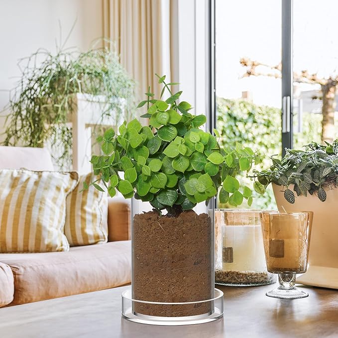Clear Plant Nursery Pots Acrylic Orchid Pots with Drainage Holes and Tray Transparent Planter for Indoor Plants, Succulents, Herb, Flowers and Cactus Decorative(3.5 Inches,Circle)