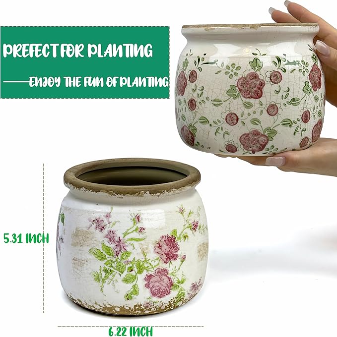 Flower Pot,Vintage Ceramic Pot for Planter with Drainage Holes, 6.29 inch Ice Crack Glazed Indoor Planters Pot for Indoor,Tuscan Home Decor,Gardening Gifts (Garden)