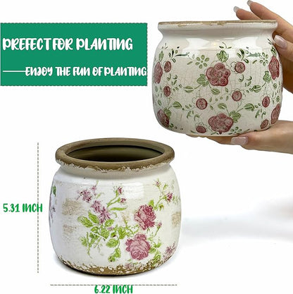 Flower Pot,Vintage Ceramic Pot for Planter with Drainage Holes, 6.29 inch Ice Crack Glazed Indoor Planters Pot for Indoor,Tuscan Home Decor,Gardening Gifts (Garden)