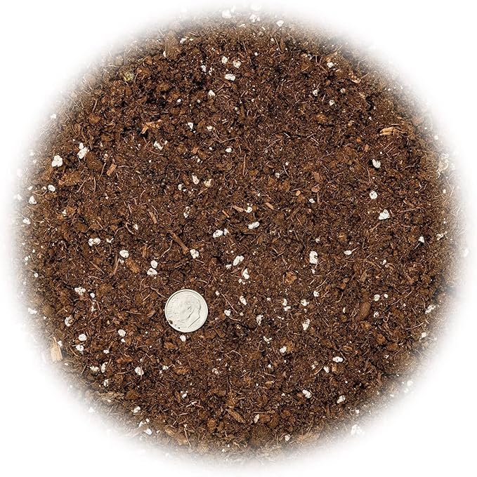 GARDENERA Premium Citrus Tree Potting Soil Mix - 3 Quart - Special Blend for Indoor Oranges, Lemons, Limes and More
