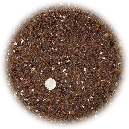 GARDENERA Premium Citrus Tree Potting Soil Mix - 3 Quart - Special Blend for Indoor Oranges, Lemons, Limes and More