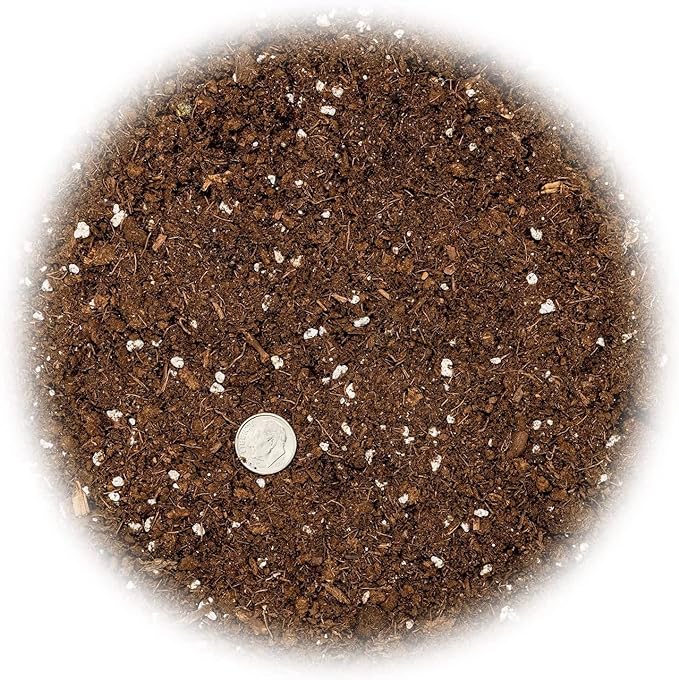 GARDENERA Citrus Tree Potting Soil Mix - 10 Quart - Special Blend for Indoor Oranges, Lemons, Limes and More - (2 Bags of 5 Quart)