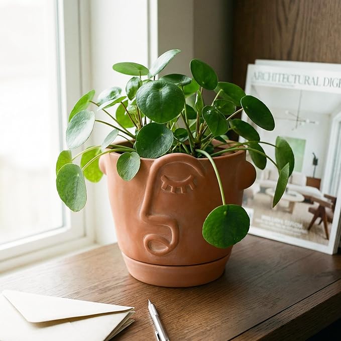 6 Inch Terracotta Abstract Face Planter with Drainage & Saucer – Artistic Ceramic Flower Pot for Indoor Plants, Boho Home Decor, Unique Gift for Plant & Art Lovers