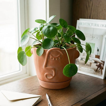 6 Inch Terracotta Abstract Face Planter with Drainage & Saucer – Artistic Ceramic Flower Pot for Indoor Plants, Boho Home Decor, Unique Gift for Plant & Art Lovers