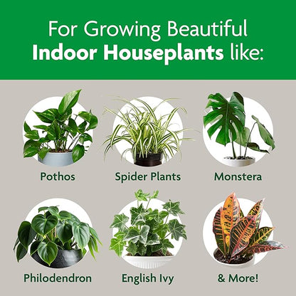 Miracle-Gro Indoor Potting Mix, Blended for a Variety of Houseplants, Feeds for up to 6 Months, 16 qt., 2-Pack
