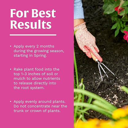 Scotts Rose & Bloom Continuous Release Plant Food, 3 lb