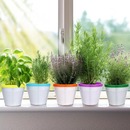 Meanplan 24 Sets Spring DIY Flower Pot Crafts Bulk Color Your Own Flower Pot 4 Inch Spring Planters Decorate Kit for Adults Activities