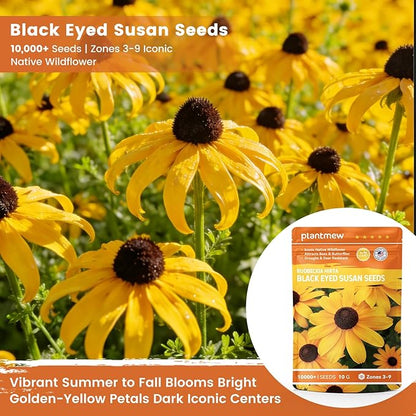 Black Eyed Susan Seeds for Planting | 30,000+ Heirloom Seeds, Non-GMO Flower Seeds for Garden, Borders & Containers | Sunflower Companion Wildflower Seeds to Attract Pollinators