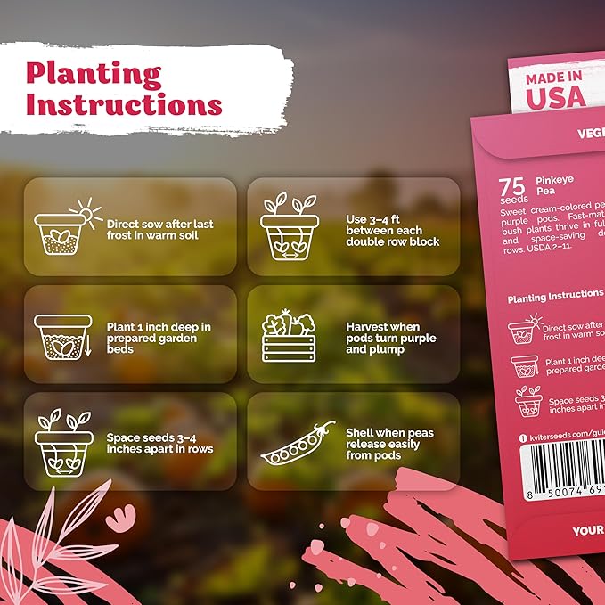 KVITER 75 Top Pick Pinkeye Cow Pea Seeds for Planting (Vigna Unguiculata) – Field Pea, Bush Purple Hull Peas, Heirloom & Organic | Peas & Beans – Vegetable Seeds for Outdoor Garden, Beds, Containers