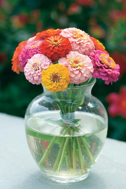 Burpee Cut & Come Again Zinnia Seeds 375 seeds