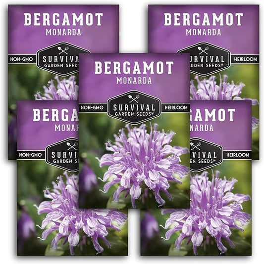 Bee Balm Seeds for Planting - Wild Bergamot (Monarda Fistulosa) Perennial Native Wildflower & Medicinal Herb for Pollinator Gardens, Fragrant Heirloom Flower - Survival Garden Seeds (5 Packs)