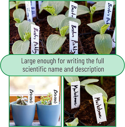 Mr. Pen- Plastic Plant Labels, 100 Pcs, 4“, White, Plant Markers and Labels for Outdoor Garden Waterproof, Plant Name Tags, Planting Sticks for Seeds