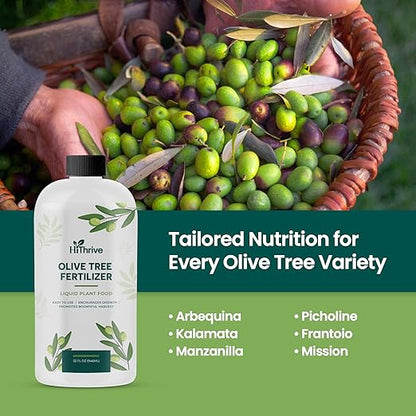 32oz Olive Tree Fertilizer – Makes 32 Gallons of Olive Plant Food – 2-in-1 Liquid Plant Food with Macronutrients + Micronutrients for Lush Foliage, Strong Roots, Bountiful Harvests & Plump Fruits