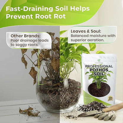 Professional Pothos Soil | Premium All Purpose Blend | Large 2.2 Quarts | Ready to Use for Indoor Plants | Peat Moss, Coco Coir, Perlite, Dolomite | Made in USA