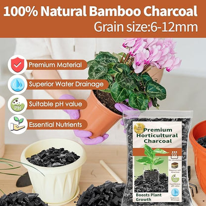 Horticultural Charcoal for Plants,2QT Premium Activated Charcoal for Indoor and Outdoor Plants,Ideal for Soil Amendment, Orchids,Succulent,Cactus, Terrariums & Gardening