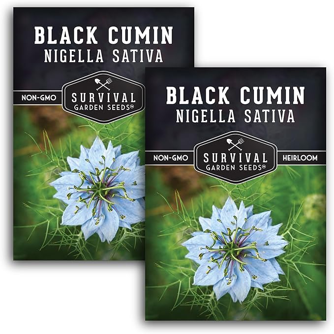 Survival Garden Seeds Black Cumin Seed for Planting - 2 Packets with Instructions to Plant and Grow Beneficial Nigella Sativa Plants in Your Home Vegetable Garden - Non-GMO Heirloom