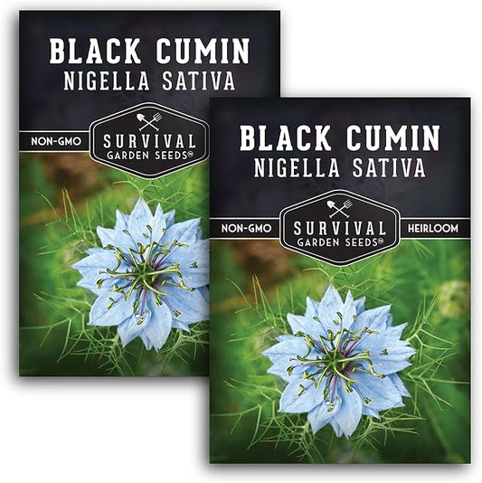 Survival Garden Seeds Black Cumin Seed for Planting - 2 Packets with Instructions to Plant and Grow Beneficial Nigella Sativa Plants in Your Home Vegetable Garden - Non-GMO Heirloom