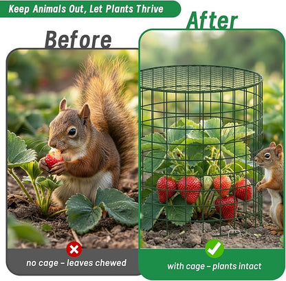 Convivium Plant Protectors from Animals 6 Packs, 13 x 12 in Metal Chicken Wire Cloche Plant Cages for Outdoor Plants, Garden Fencing Animal Barrier with Detachable Dome Lid, Stakes & Zip Ties