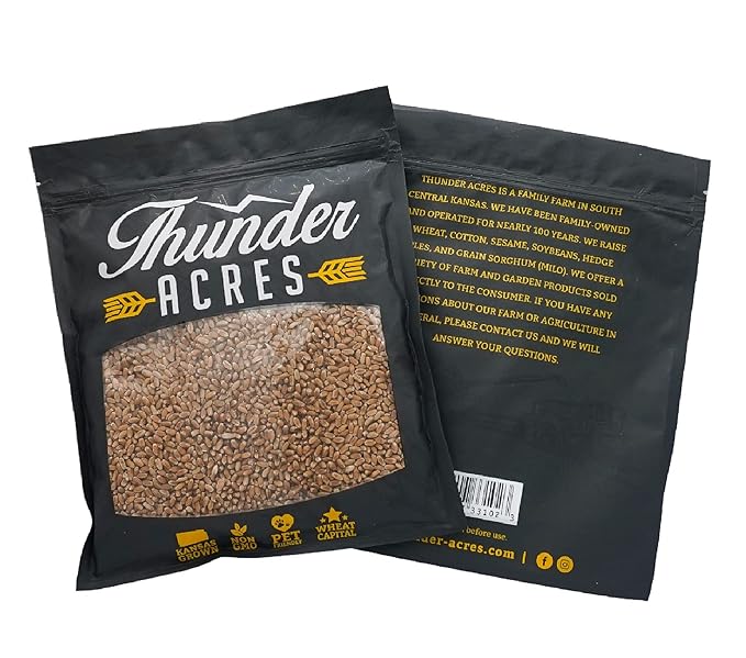 Non-GMO, Thunder Acres Premium Wheat Seed, Cat Grass Seed, Wheatgrass, Hard Red Winter Wheat (1 lbs.)