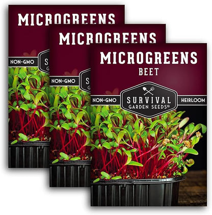 Beet Microgreen Seeds for Sprouting - Non-GMO Heirloom Beet Seeds to Grow Red Microgreens - Indoors or Hydroponic - Fast Growth, Sweet Flavor - Survival Garden Seeds (3 Packs)