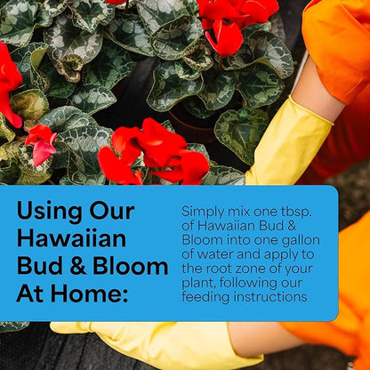 Grow More Urea-Free Hawaiian Bud and Bloom 5-50-17 Fertilizer - 3lbs of Water Soluble Bloom Booster Fertilizer for Flowers - High Phosphorus Flower Food for Enhanced Bud Formation & Vigorous Blooms